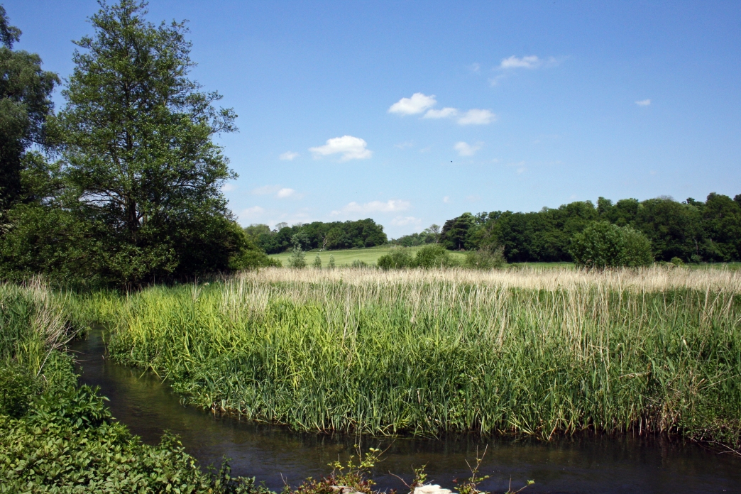 Panshanger Park Herts and Middlesex Wildlife Trust